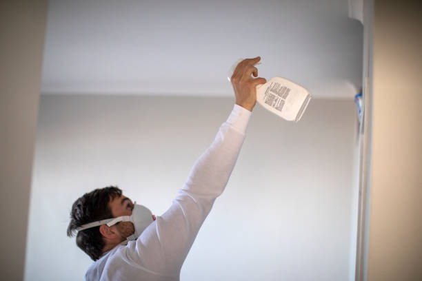 Best Mold Removal and Inspection  in Isanti, MN
