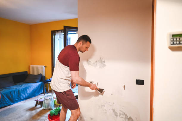 Professional Mold Removal in Isanti, MN